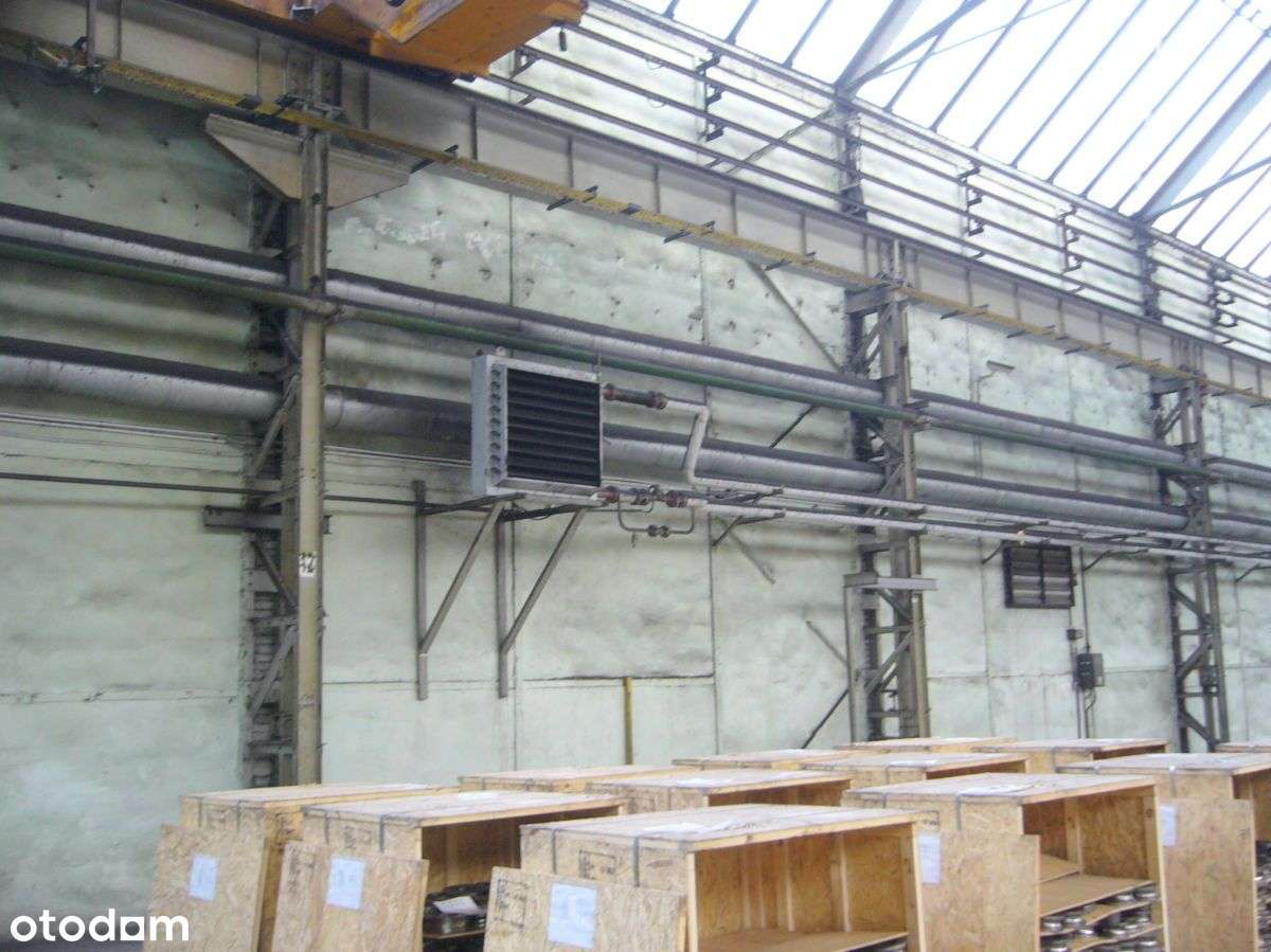 hala suwnica 5 t;poziom 0 - Pełny obrazek: 3/3