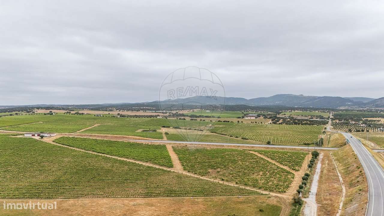 Quinta  para venda - Grande imagem: 2/12