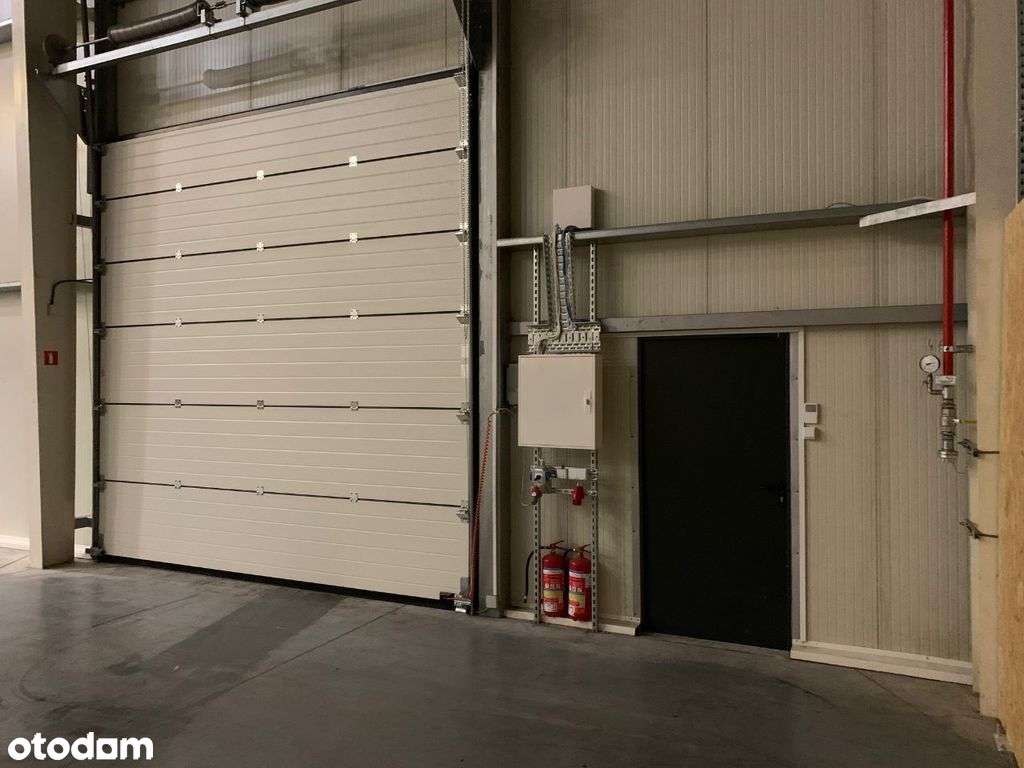 hala magazynowa - Pełny obrazek: 4/6