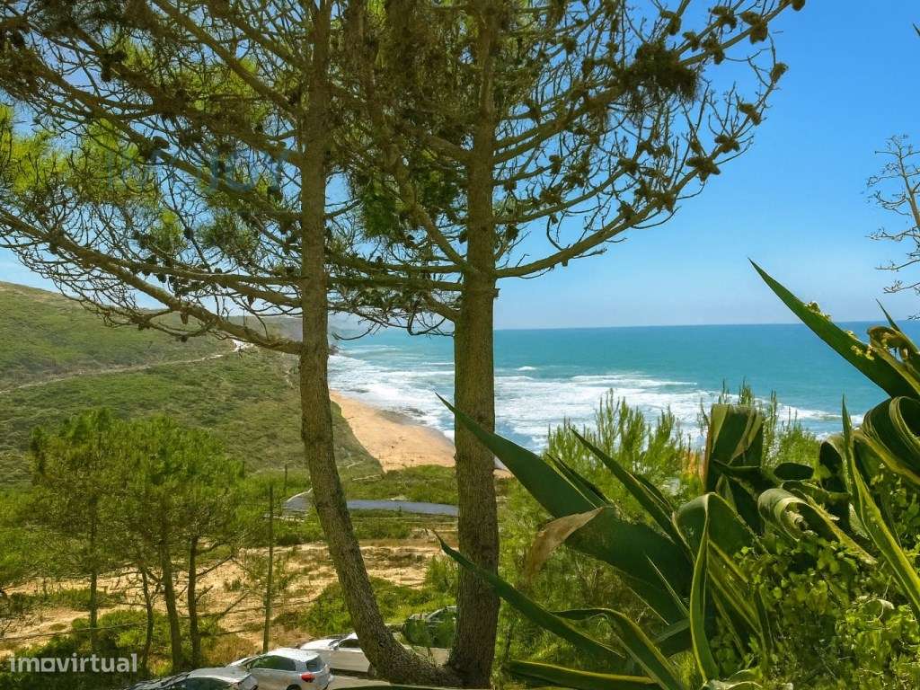 Apartamento T1 para Venda em São João das Lampas - Grande imagem: 4/25