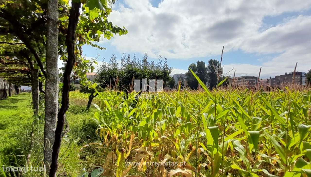 Venda de Terreno com 7140 m², Meadela, Viana do Castelo - Grande imagem: 3/30