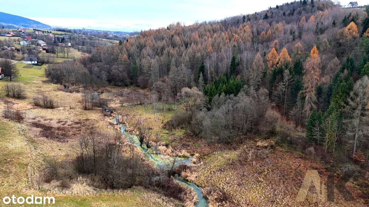 Działka Rekreacyjna W Cichym Zakątku Mszalnicy - Pełny obrazek: 5/19