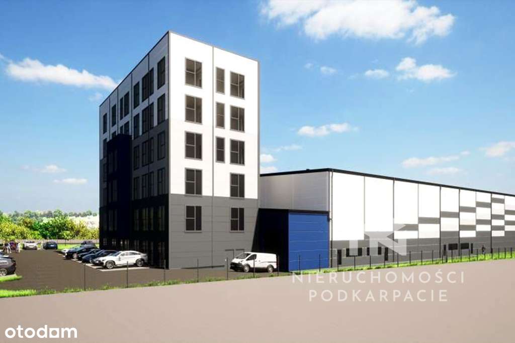 Wynajem biurowca, pow. 1339,22 m2-strefa Dworzysko - Pełny obrazek: 4/11