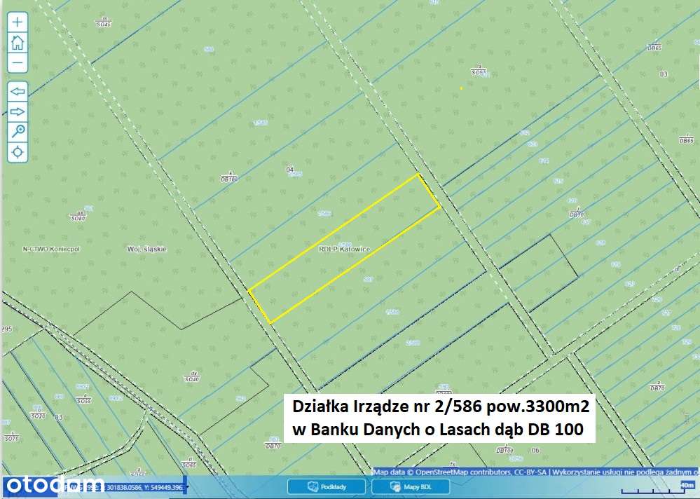 Działka leśna (las dębowy 100-letni) 3300m2 tylko 12.900 zł - Pełny obrazek: 3/20