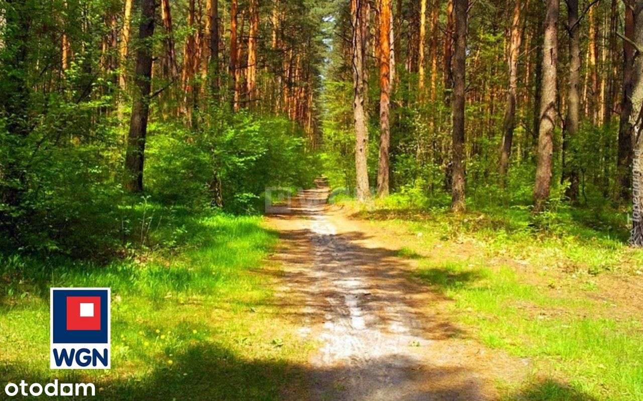 Działka, 1 428 m², Sadowiec-0