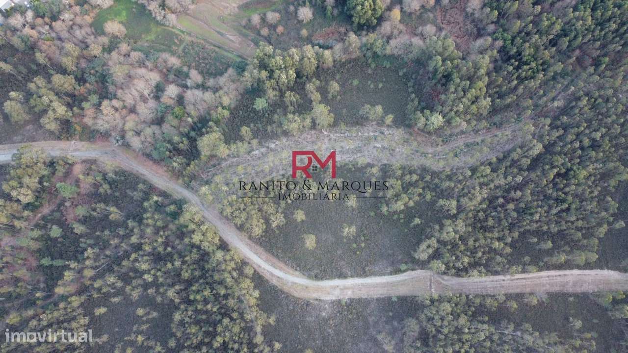 TERRENO RÚSTICO | VALONGO, ZONA "CABEDA" - Grande imagem: 5/12