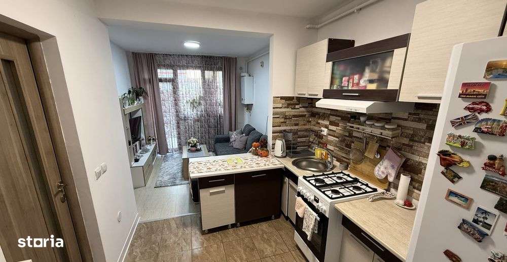Apartament de 2 camere, cu gradina, zona Terra-1