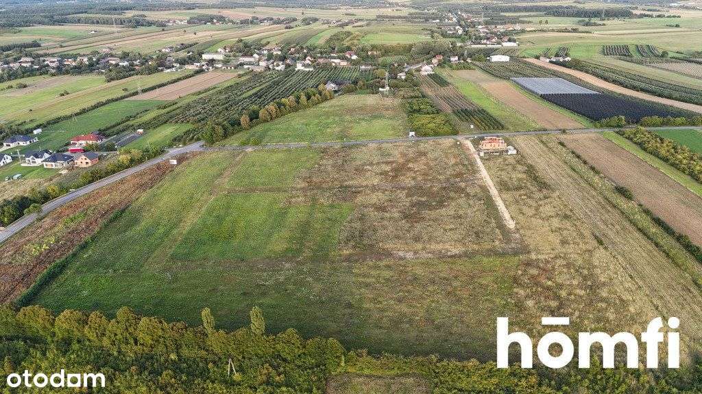 Działki mieszkaniowe 17 km od Częstochowy - Pełny obrazek: 4/6