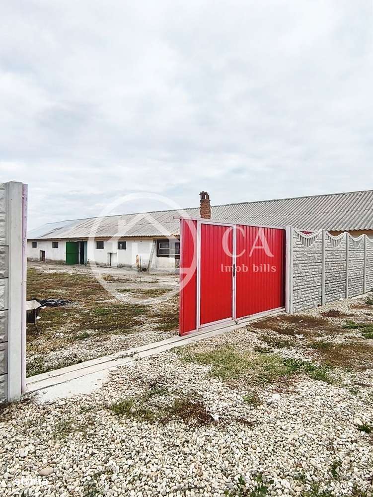 Hala de inchiriat in zona Tarian, Bihor - Imagine principală: 4/5