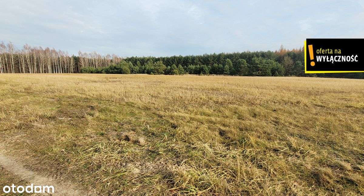 Działka blisko lasu.-7