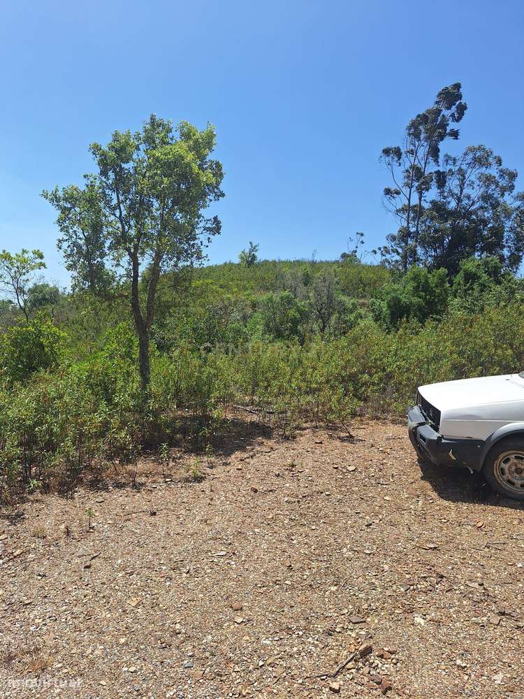 Terreno com 89.030 m² à venda em São Bartolomeu de Messines-3