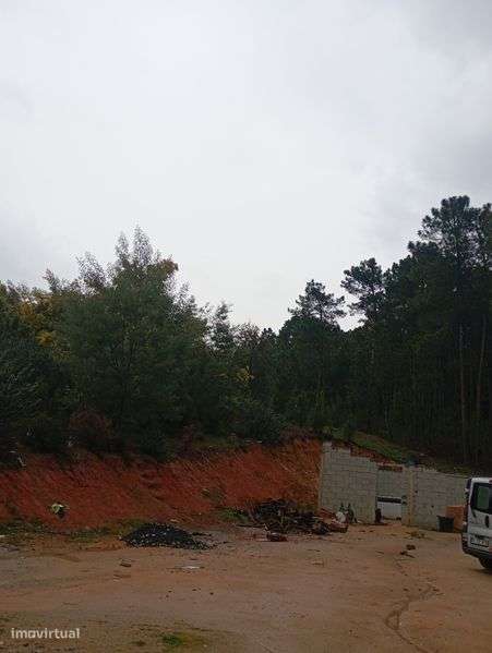 Terreno sitiando em monte lial - Grande imagem: 4/8