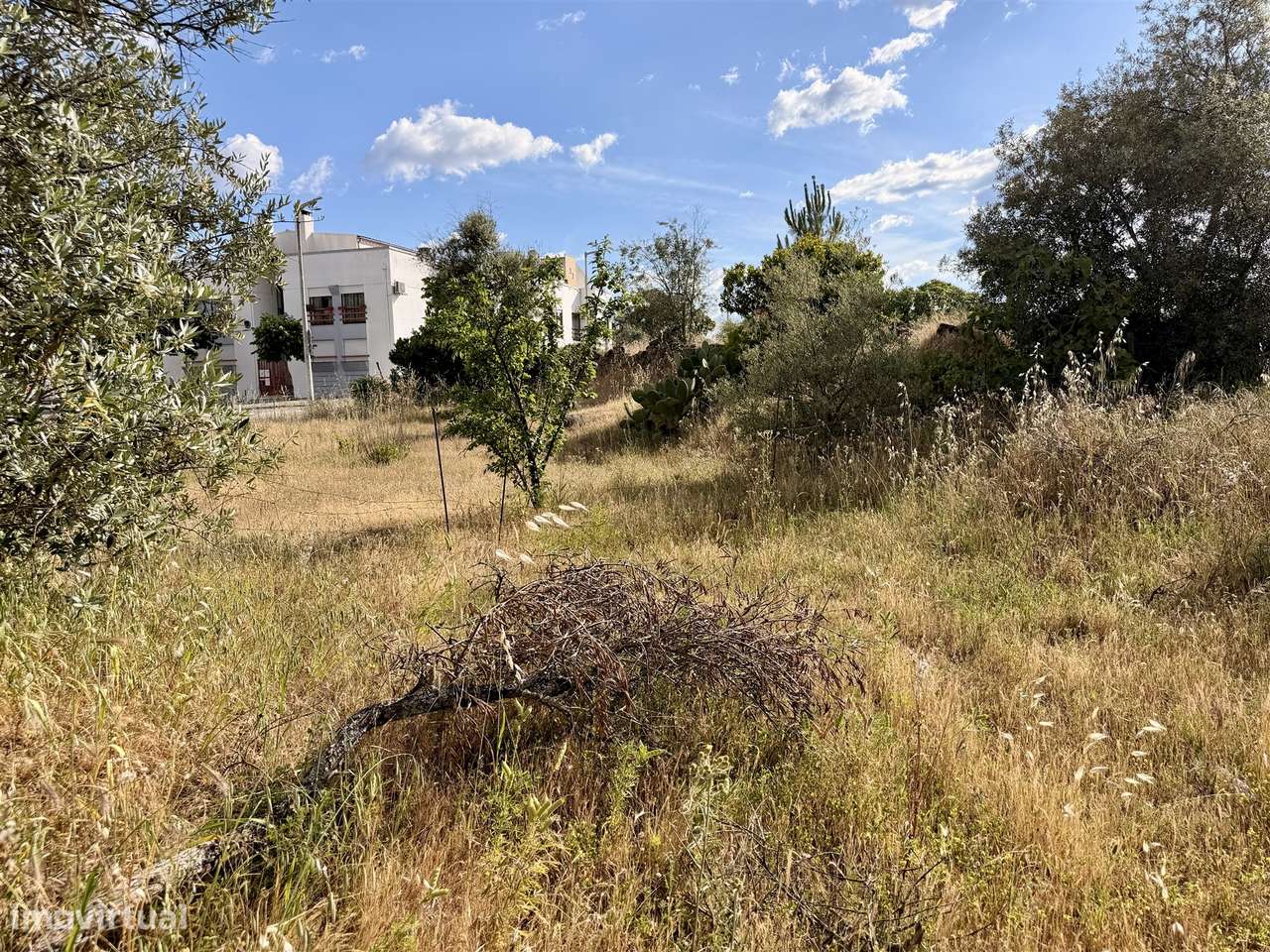 Terreno Para Construção  Venda em Alcains,Castelo Branco-6
