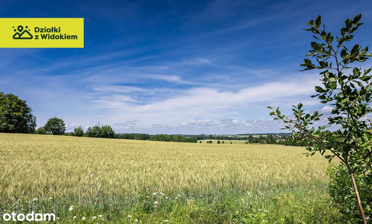 Chmieleń - działka z WZ zatopiona w naturze i spokojnej okolicy - Pełny obrazek: 5/10