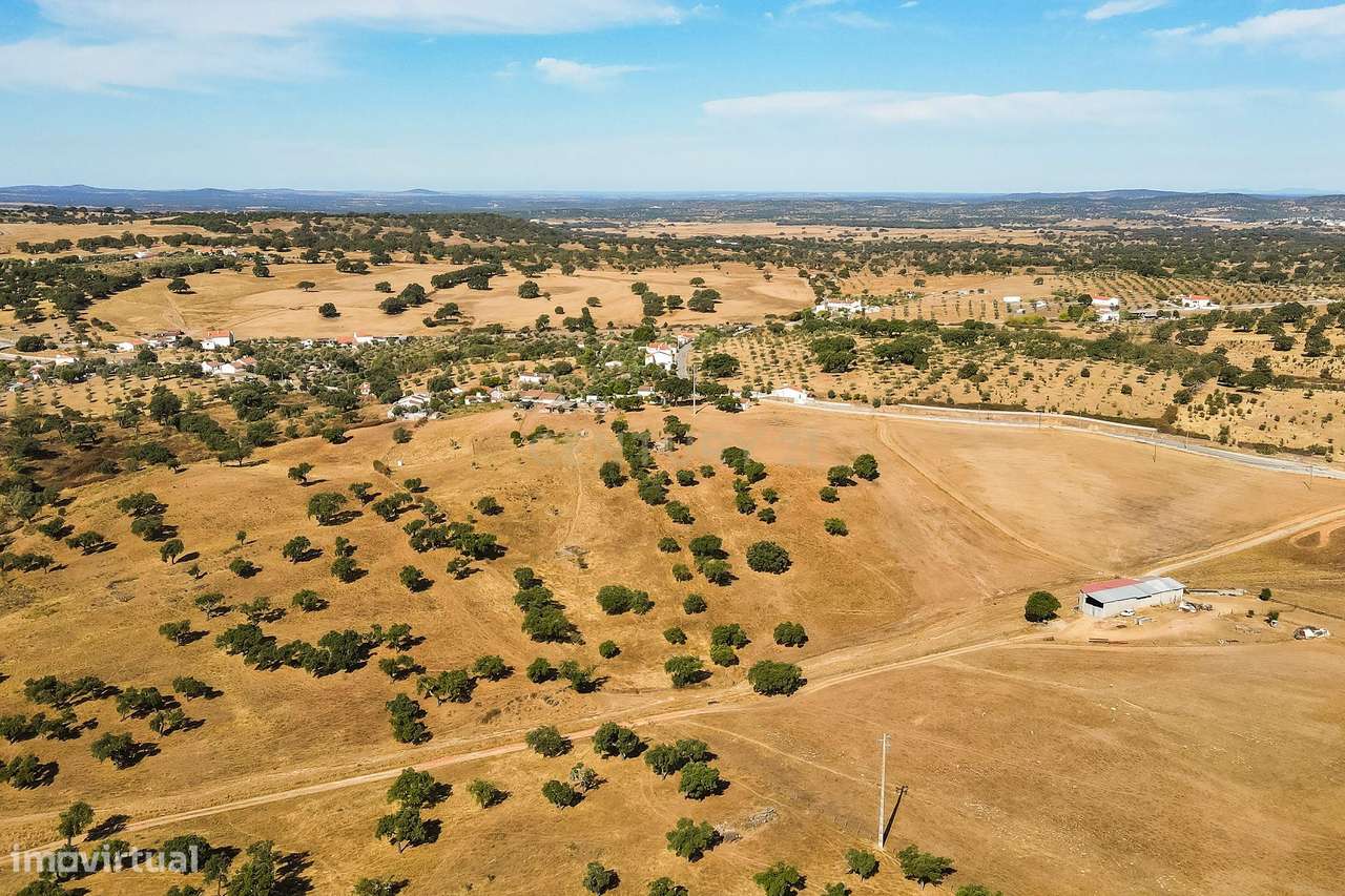 Monte Alentejano com 45 Hectares e Infraestruturas Agrícolas-24