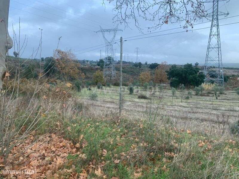 Quintinha T1 / Fundão, Pêro Viseu - Grande imagem: 4/12