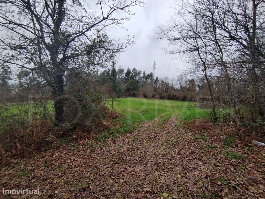 Terreno - Ganfei, Valença - Grande imagem: 3/10