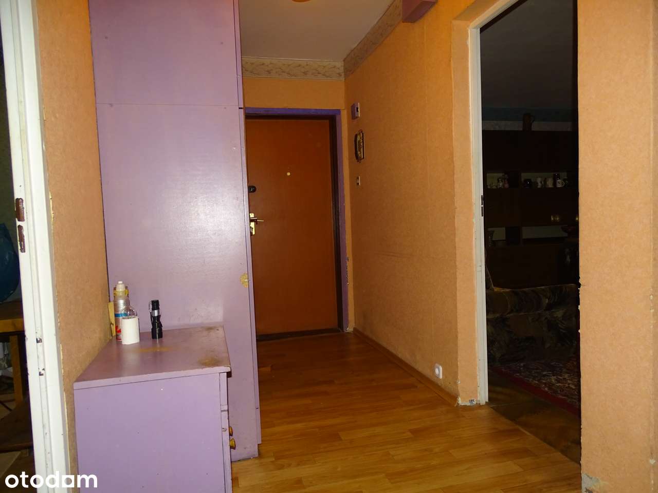 Mieszkanie 3 pokojowe do remontu-10