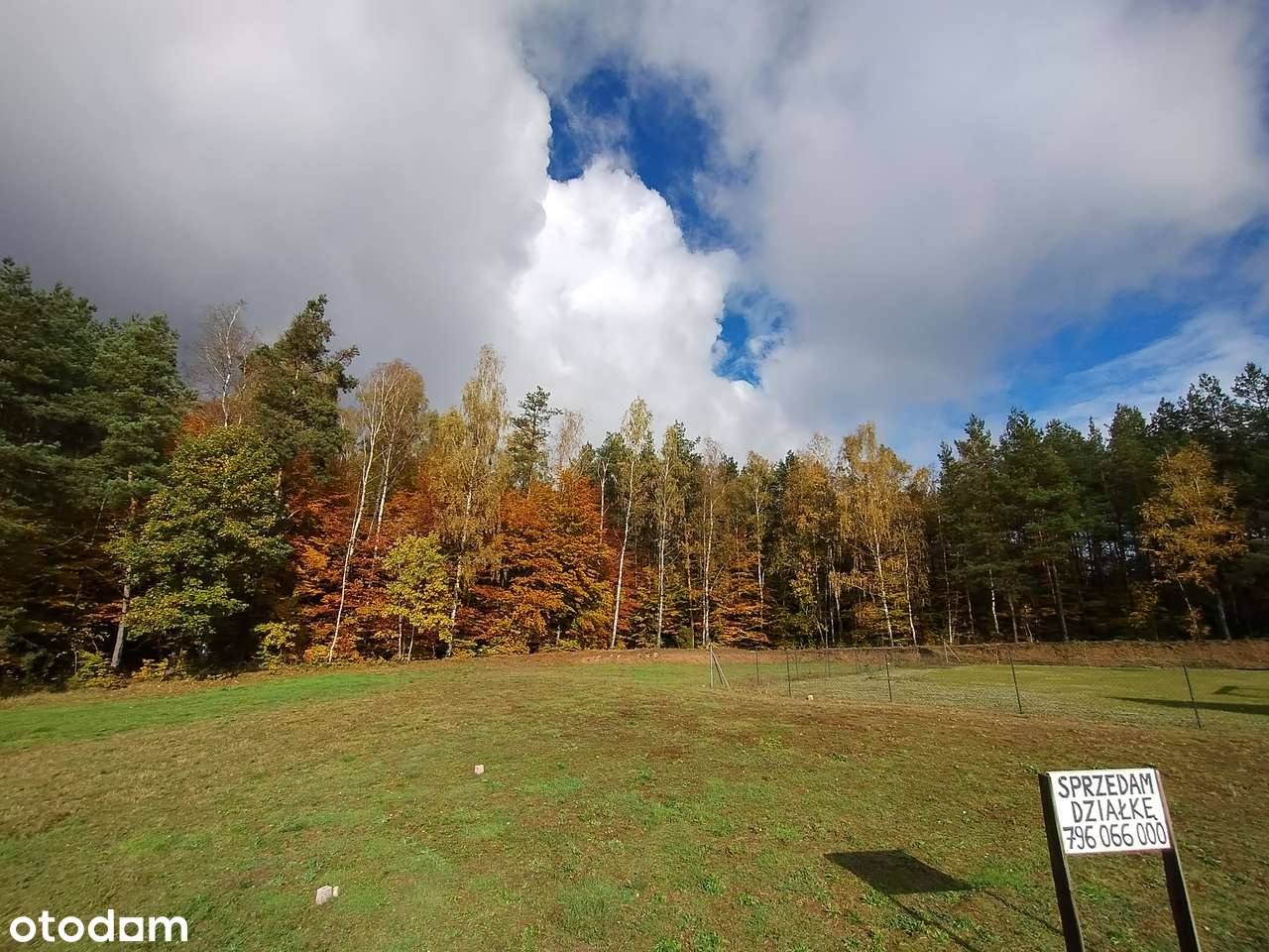 Działka budowlana przy lesie, 1242m2, przepiękna lokalizacja - Pełny obrazek: 5/10