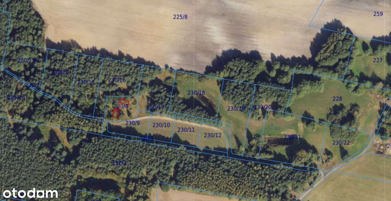 Działki siedliskowe Zalesie Królewskie idealne pod dom lub letniskowe - Pełny obrazek: 3/9