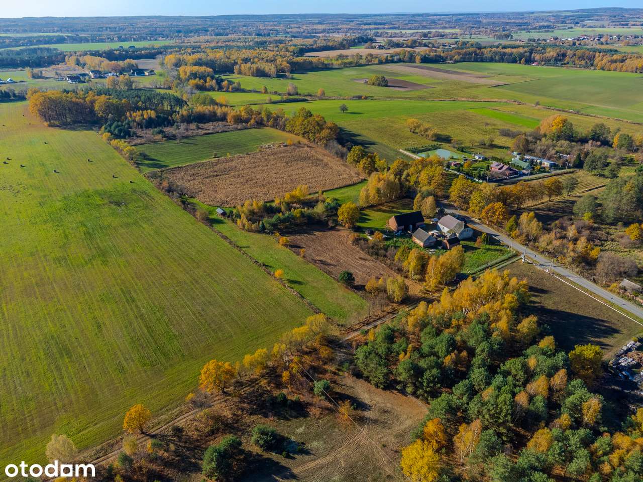 Przy lesie | 40 arów | budowlana | pod Twardogórą-7