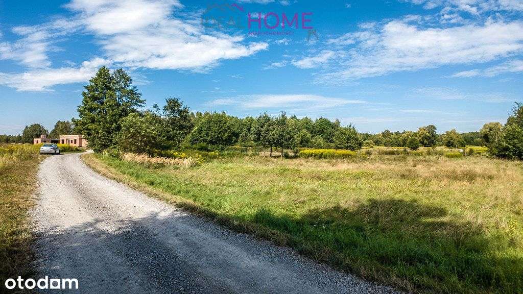 Działka budowlana blisko lasu - Trzeboś - Pełny obrazek: 2/14