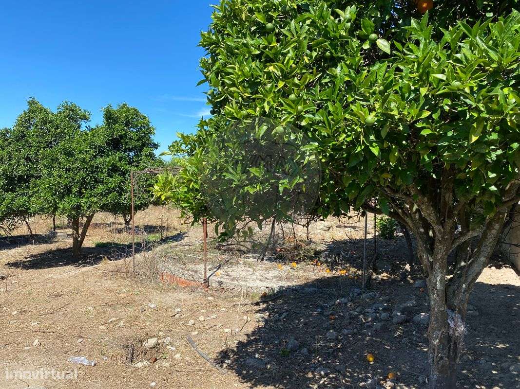 Terreno  para venda - Grande imagem: 5/10