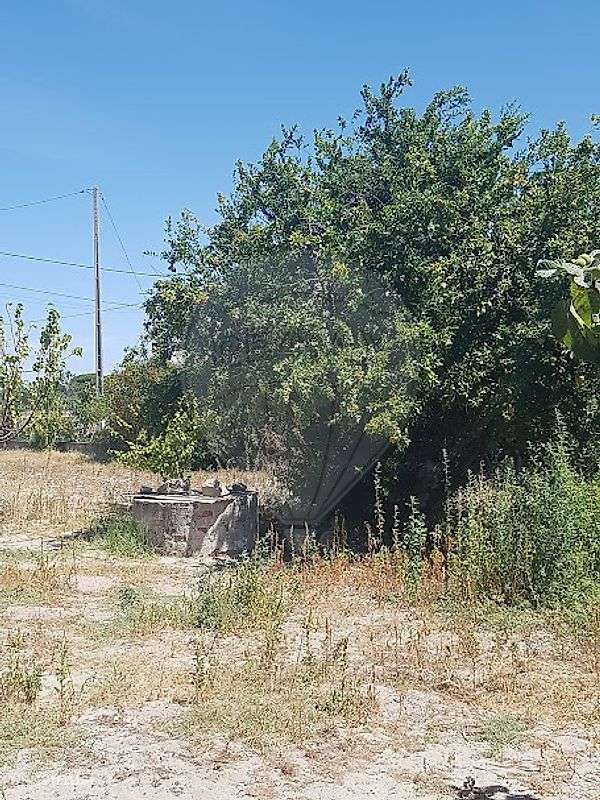 Quinta  para venda-1