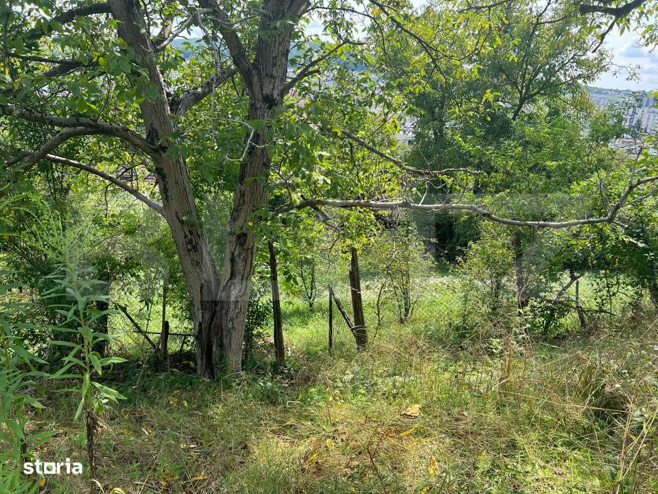 Casa Str. Negoiului, 2.249 mp teren, zona linistita, vedere panoramica - Imagine principală: 5/5