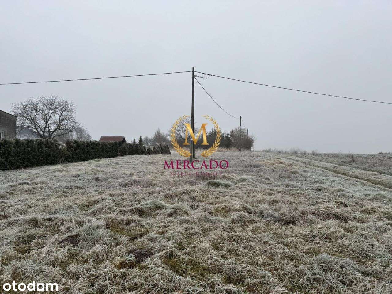 Wieniec Działka 11,5a,obok Brzeskiej Strefy Gosp. - Pełny obrazek: 5/5