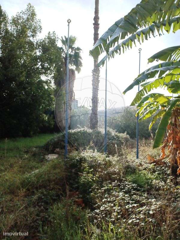 Industrial  para venda - Grande imagem: 4/9