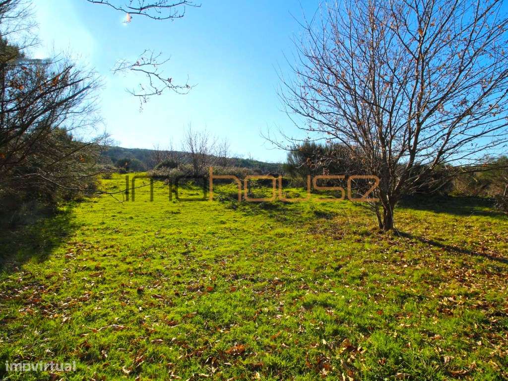Terreno de 84 hectares-32