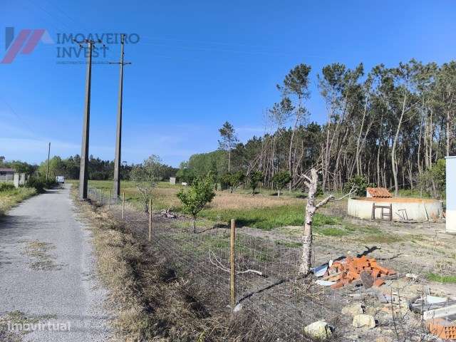 Moradia T4 Renovada com Jardim  Sanguinheira Cantanhede-38