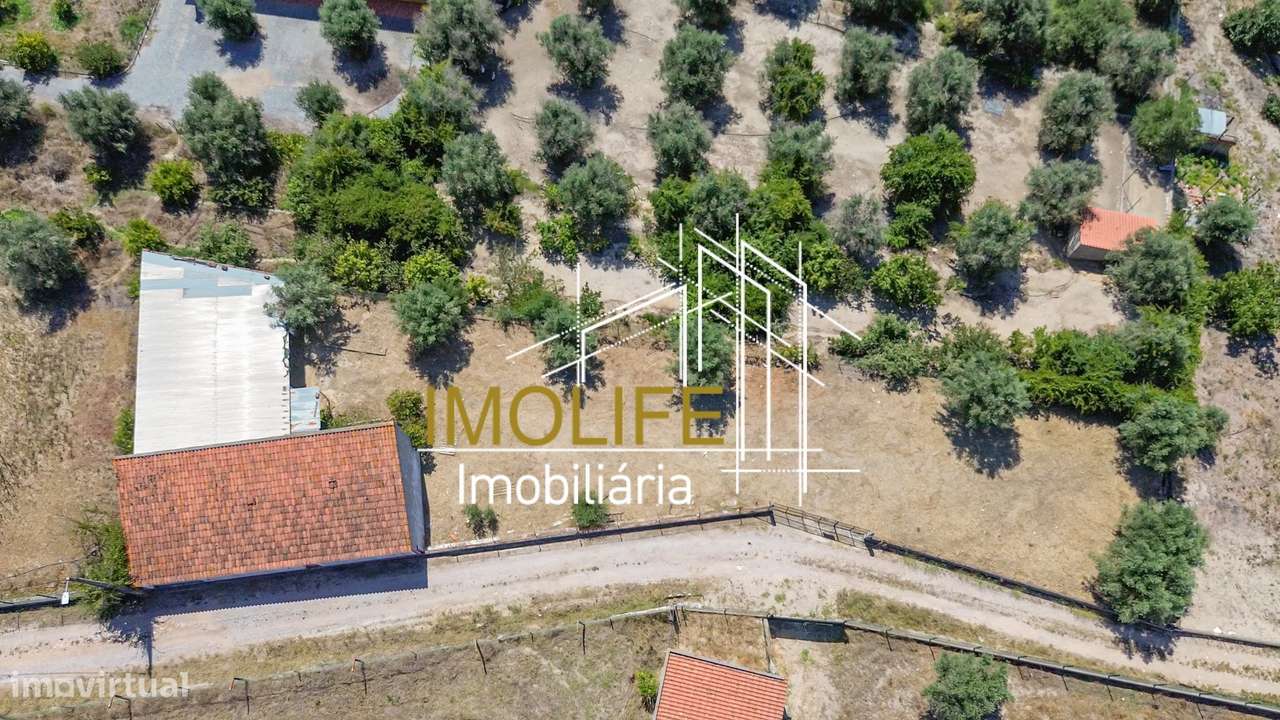 Armazém para venda em Cabeção-8