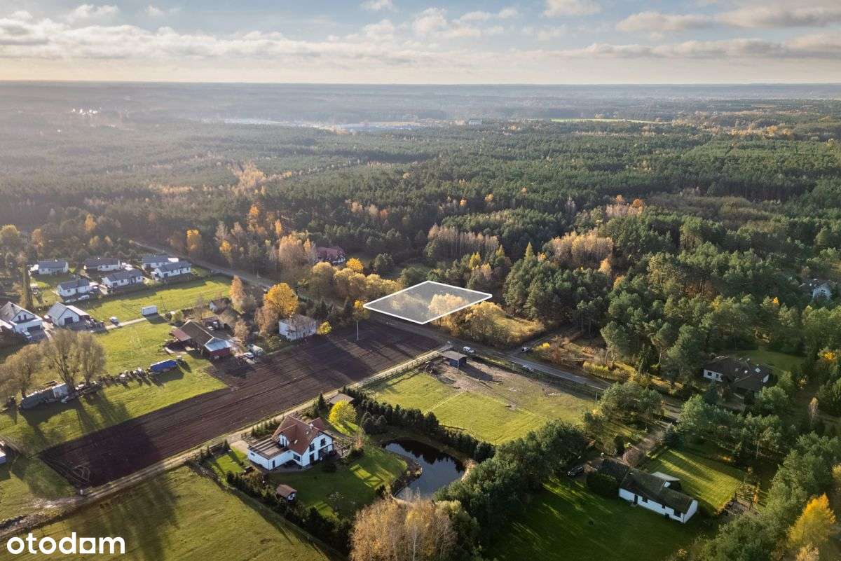 Działka budowlana tuż przy lesie WZ - Pełny obrazek: 5/11