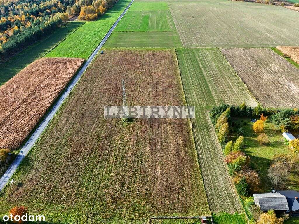 Rzerzęczyce, budowlana 541m2, cena brutto z VAT!!!-3