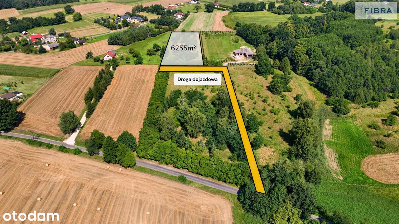 Siedlisko. Nowa niższa cena. - Pełny obrazek: 2/20