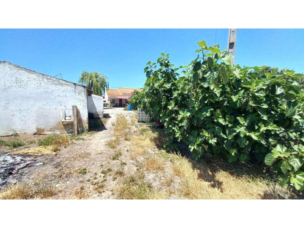 Herdade vinhateira próxima de Setúbal-5