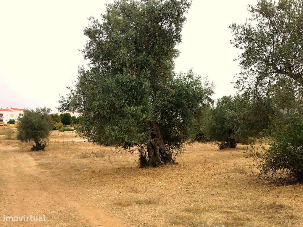 Terreno com 8.750m², com PIP aprovado para realização de loteamento... - Grande imagem: 4/12