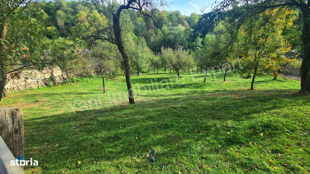 Teren de vânzare în comuna Arefu, județ Argeș.-10