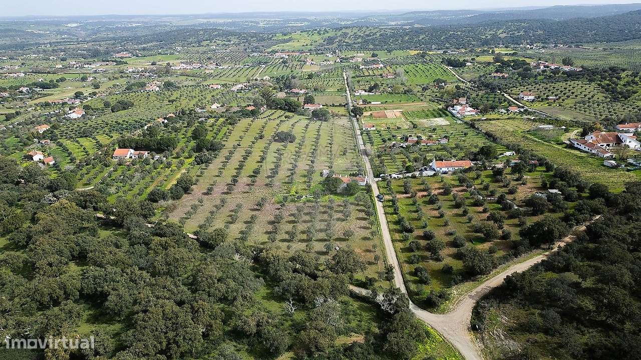 Quinta  para venda - Grande imagem: 5/29