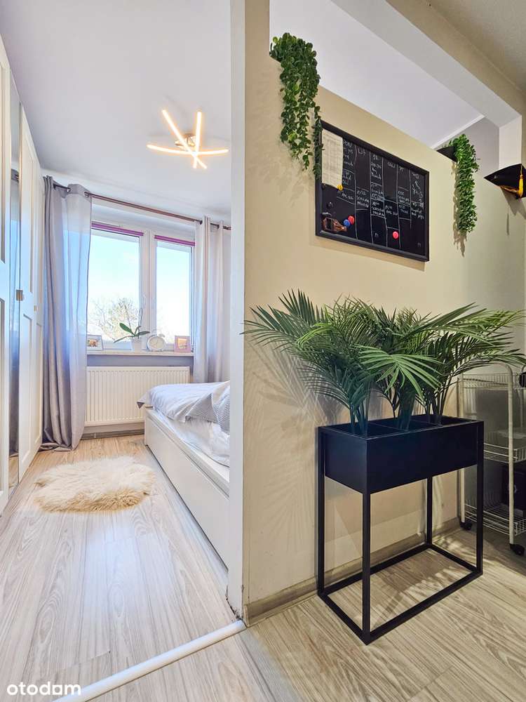 2 poziomy, po remoncie, umeblowane, Żabie doły-14