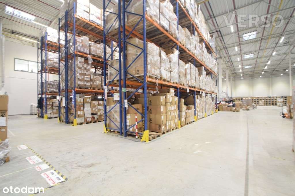 Magazyn 1350 mkw., dostępne biura, doki, brama 0 - Pełny obrazek: 3/8