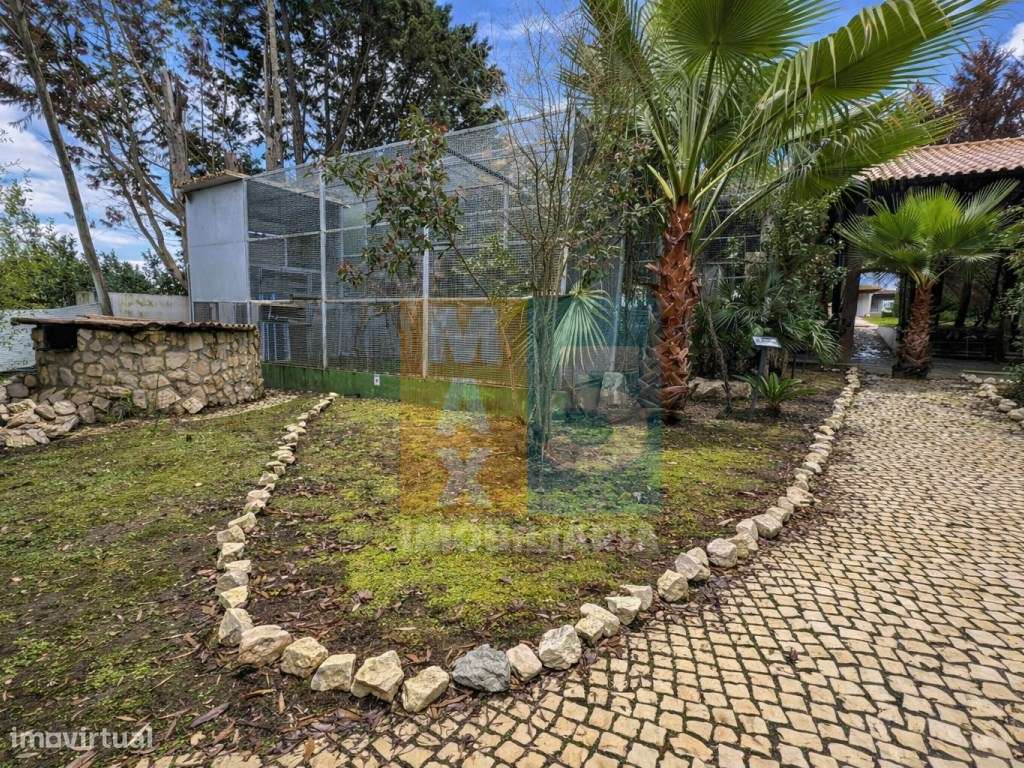 Quinta com 4.880 m2 - Alpiarça-39
