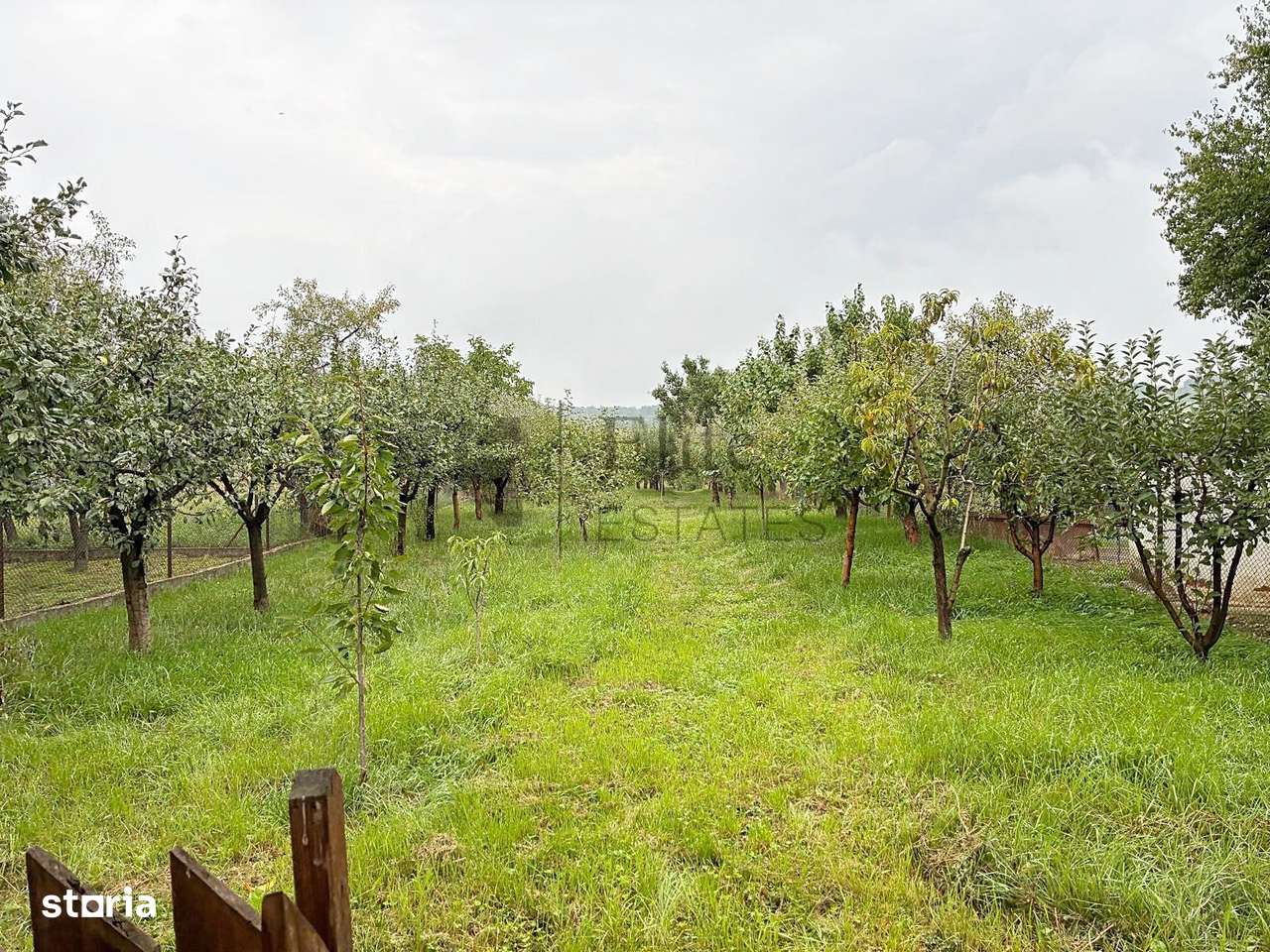 Casa noua cu livada de vanzare in Betfia, Bihor - Imagine principală: 4/20
