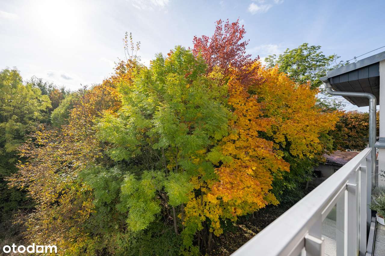 Komofortowe mieszkania blisko centrum miasta i AquaParku. - Pełny obrazek: 1/11