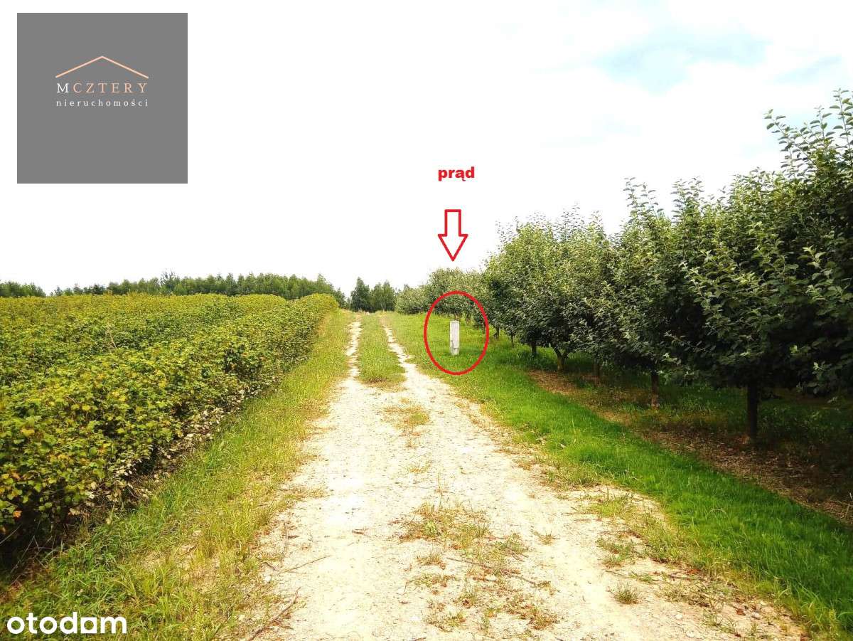 Działka Z Warunkami Zabudowy 2.5Ha  Linią Brzegową-12