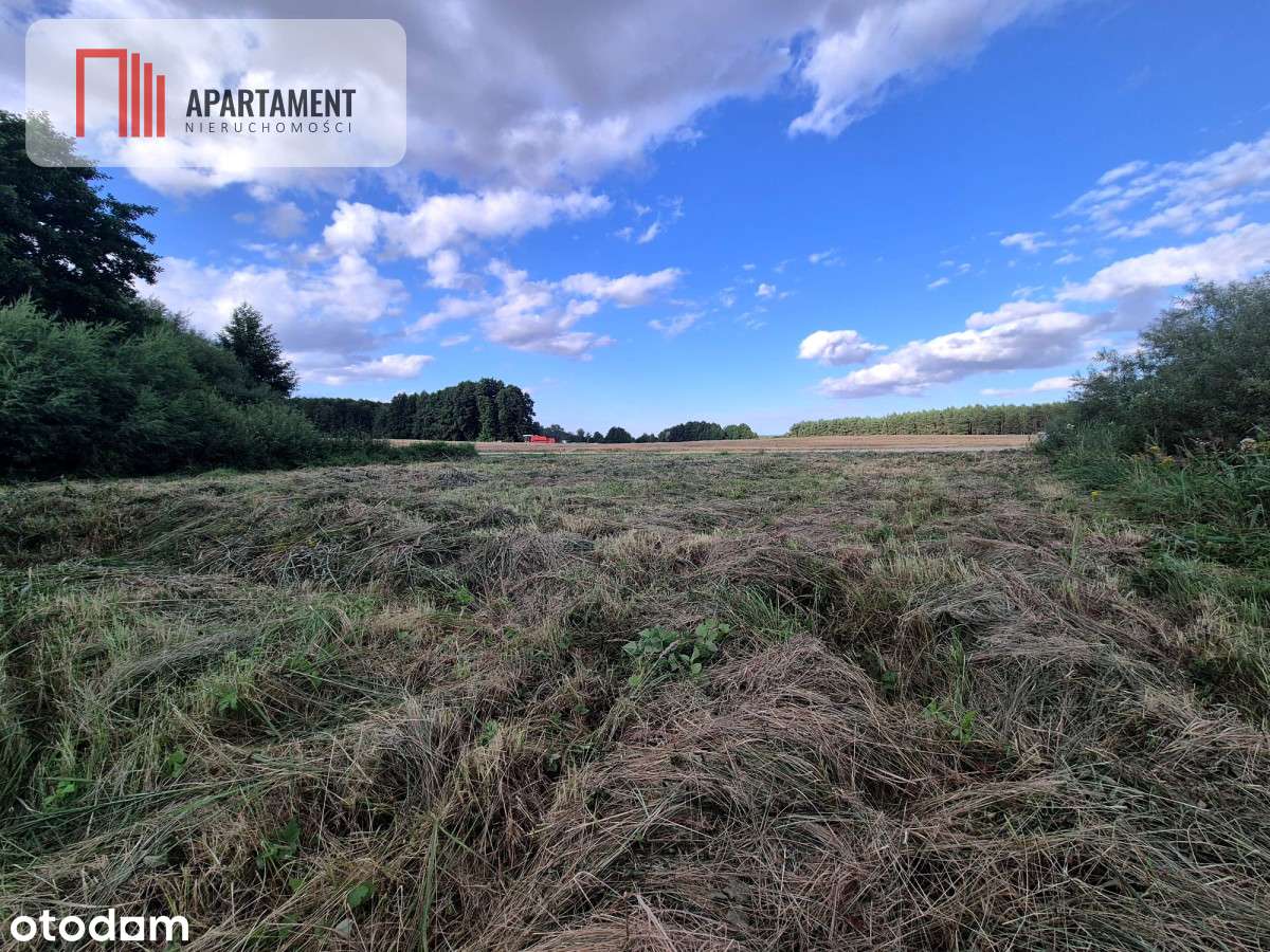 Działka budowlana w Boroszewie - Pełny obrazek: 5/9