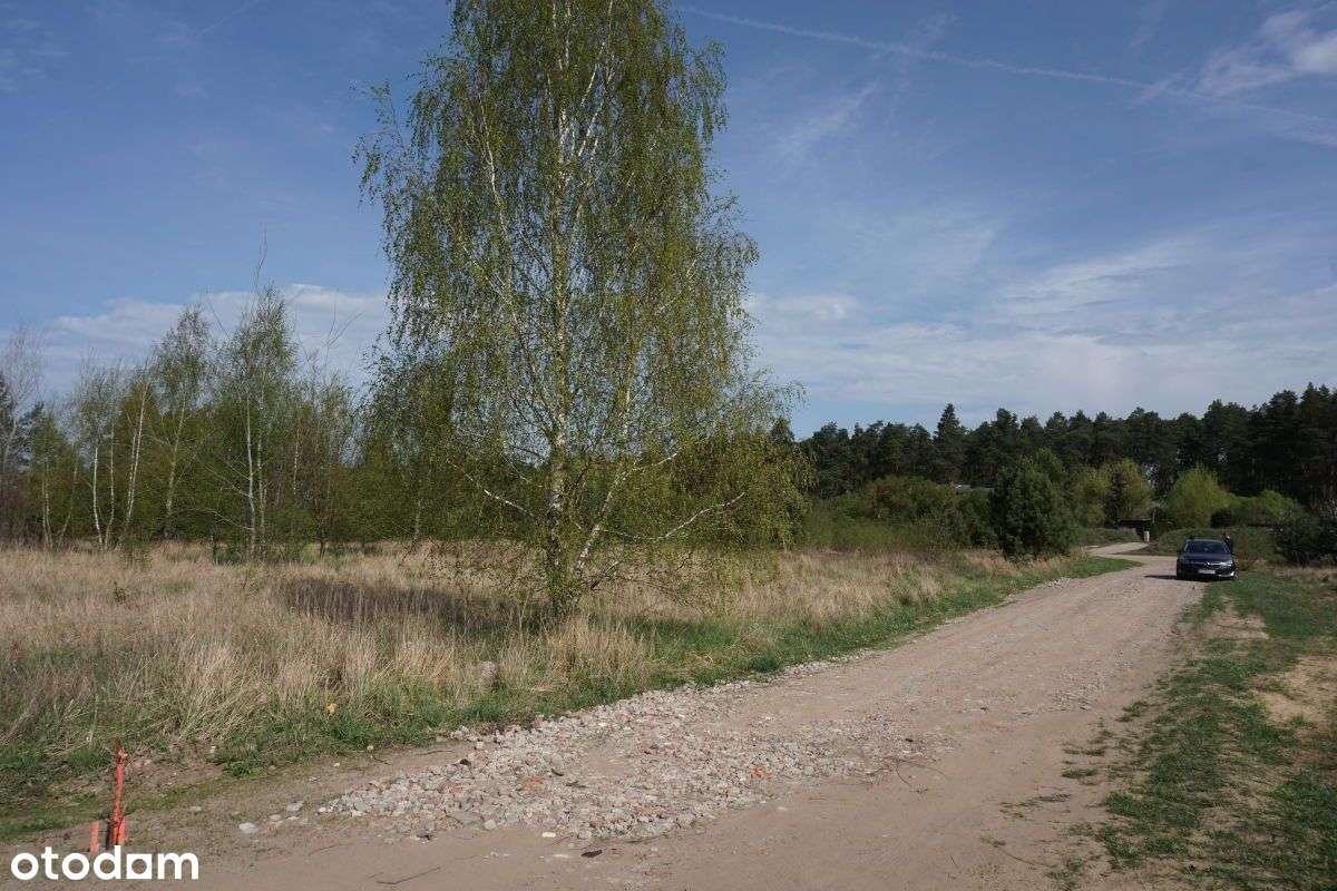Biały Bór 3 działki budowlane - More