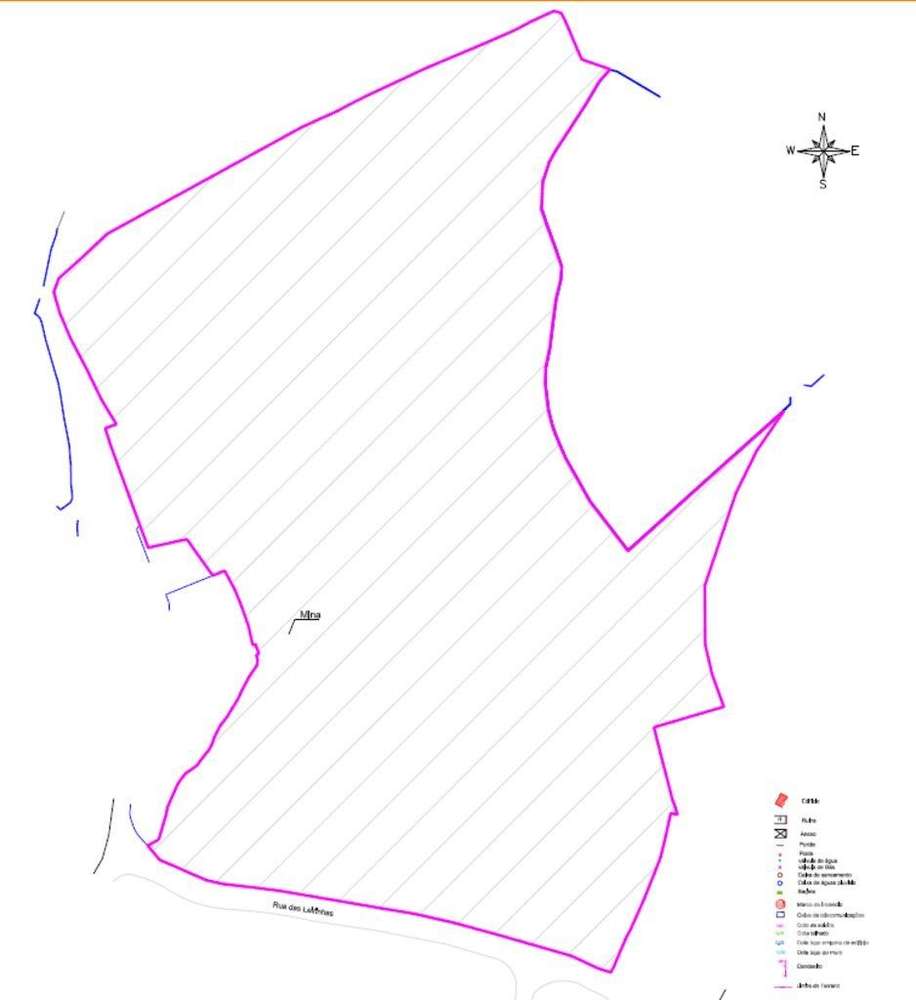 Terreno para construção em Negrelos (São Tomé) de 31109,00 m2 - Grande imagem: 5/30